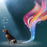 Scientists created canine iPSCs from urine-derived cells with great efficiency