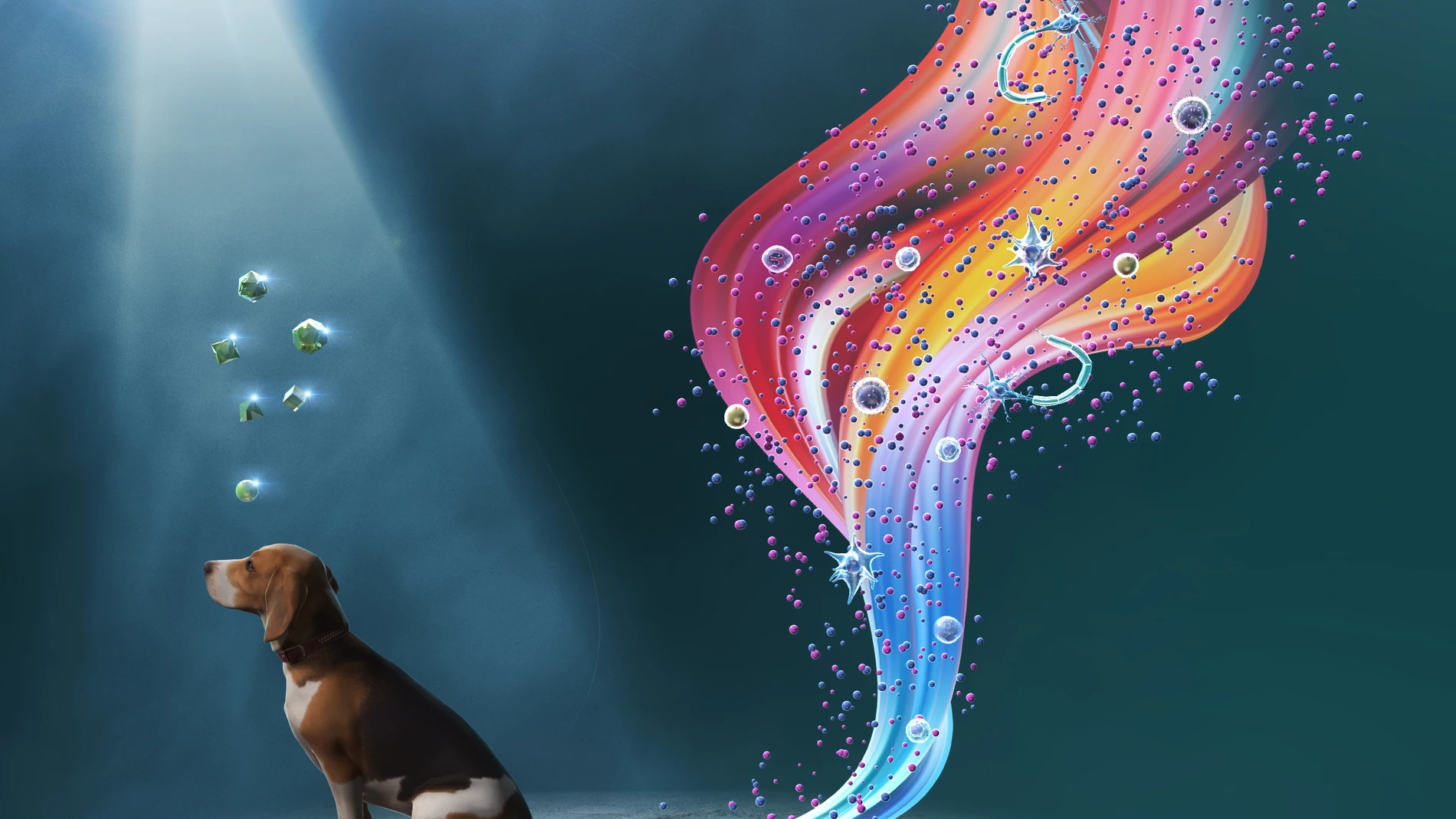 Scientists created canine iPSCs from urine-derived cells with great efficiency