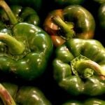 Pimientos verdes