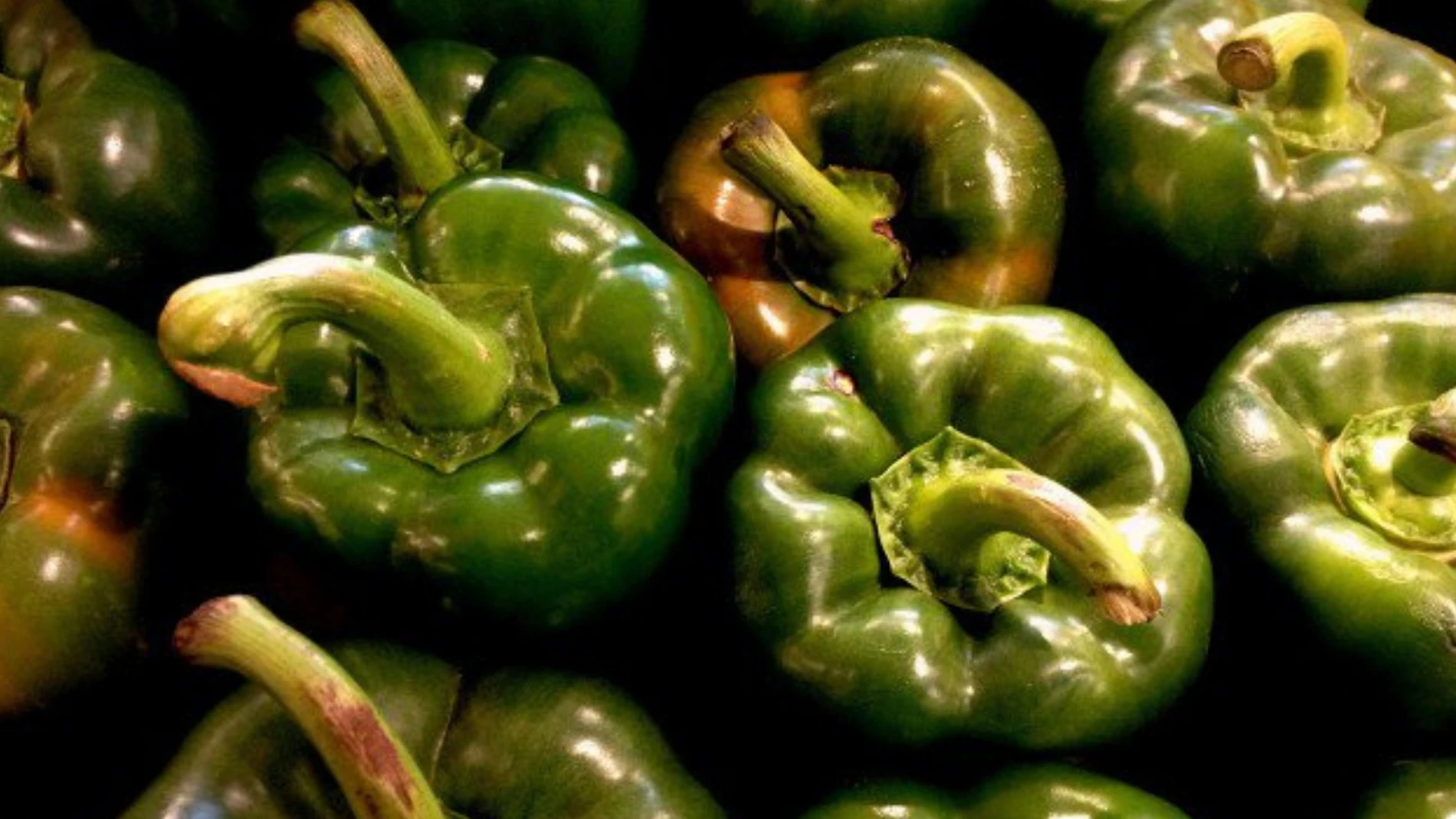 Pimientos verdes
