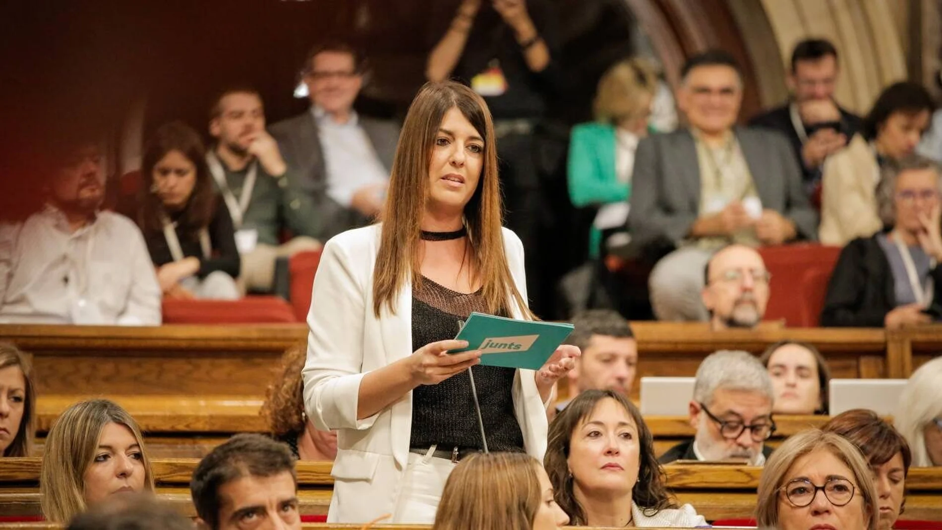 La diputada de Junts Irene Negre