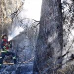  Un bombero en un incendio forestal, en una imagen de archivo