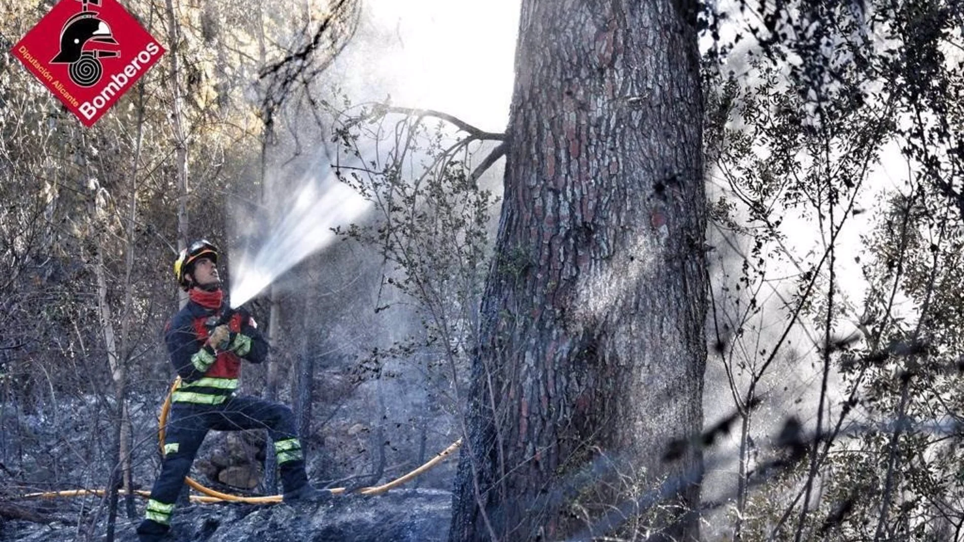 Un bombero en un incendio forestal, en una imagen de archivo