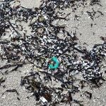 Los ecologistas alertan del riesgo para la costa gallega de la llegada de millones de pellets de plástico