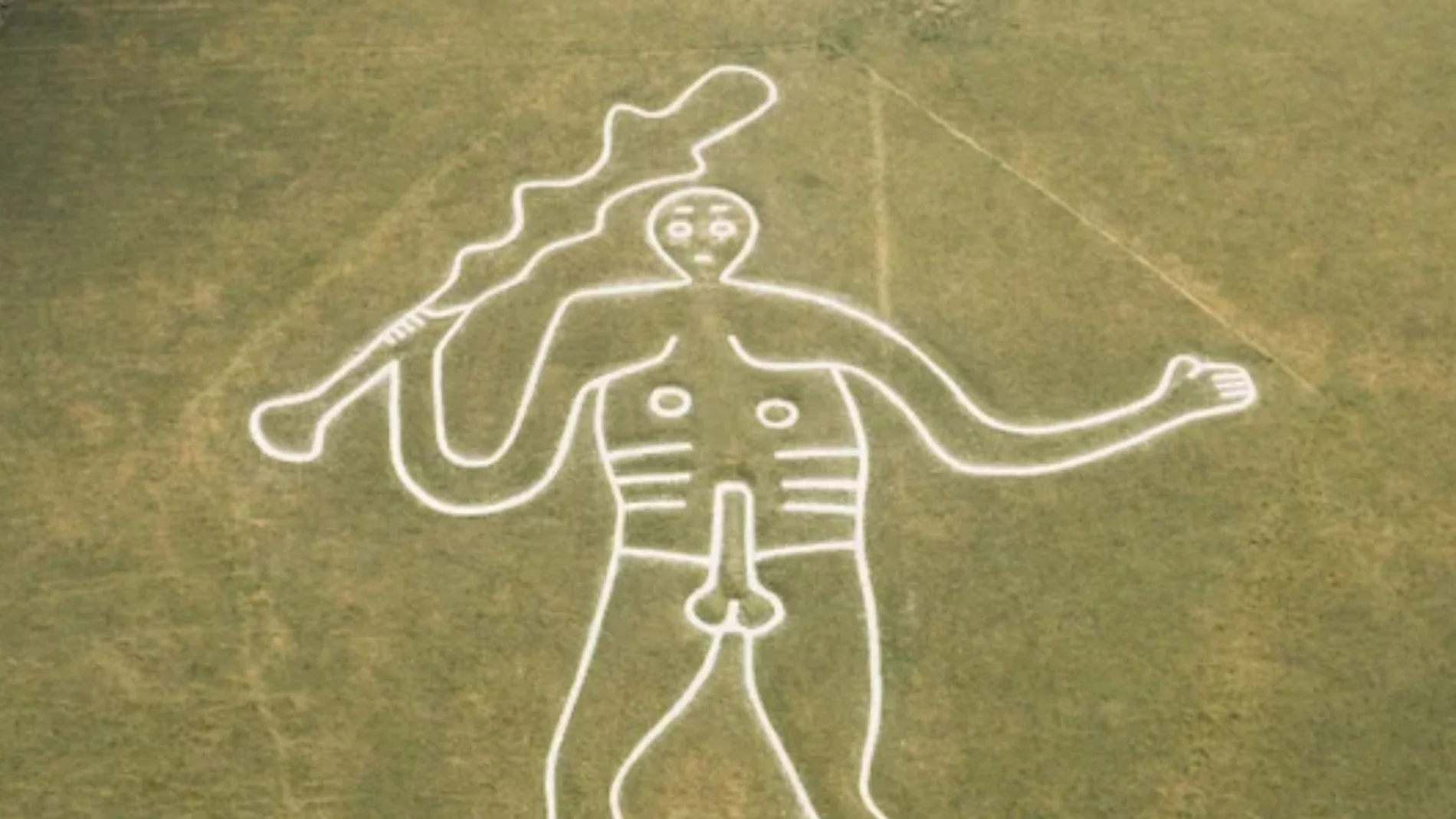 Hércules Gigante Cerne