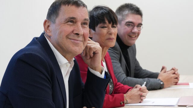 El TC estudiará la próxima semana una ponencia que propone amparar a Otegi y no repetir juicio por el 'caso Bateragune'