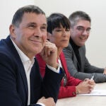 El TC estudiará la próxima semana una ponencia que propone amparar a Otegi y no repetir juicio por el 'caso Bateragune'