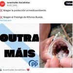 Tuit publicado por las Juventudes Socialistas y el artículo de la ONU del que procede la fotografía 