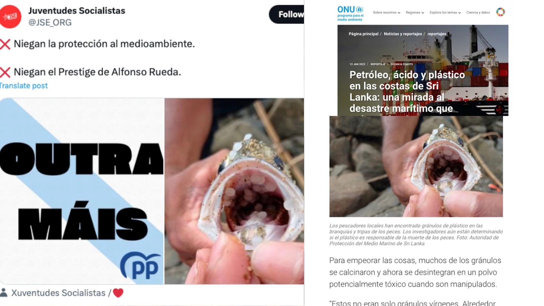 Tuit publicado por las Juventudes Socialistas y el artículo de la ONU del que procede la fotografía