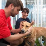 Imagen del santuario canino de MrBeast