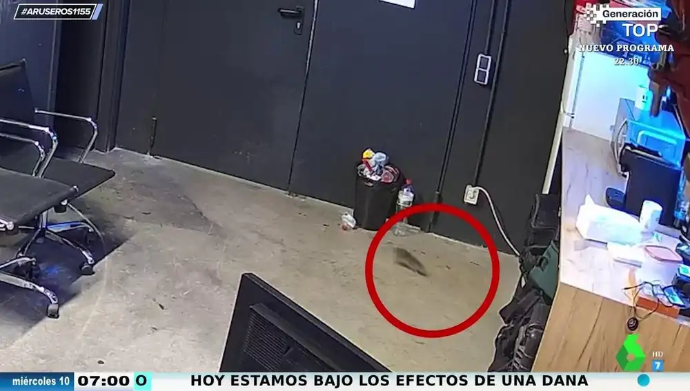 Imagen de la invitada