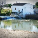 Imagen del Molino harinero de Formentera del Segura