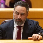 Vox abre el plazo para optar a la presidencia del partido, con Abascal como único aspirante claro