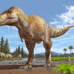 Representación artística del T. mcraeensis 
