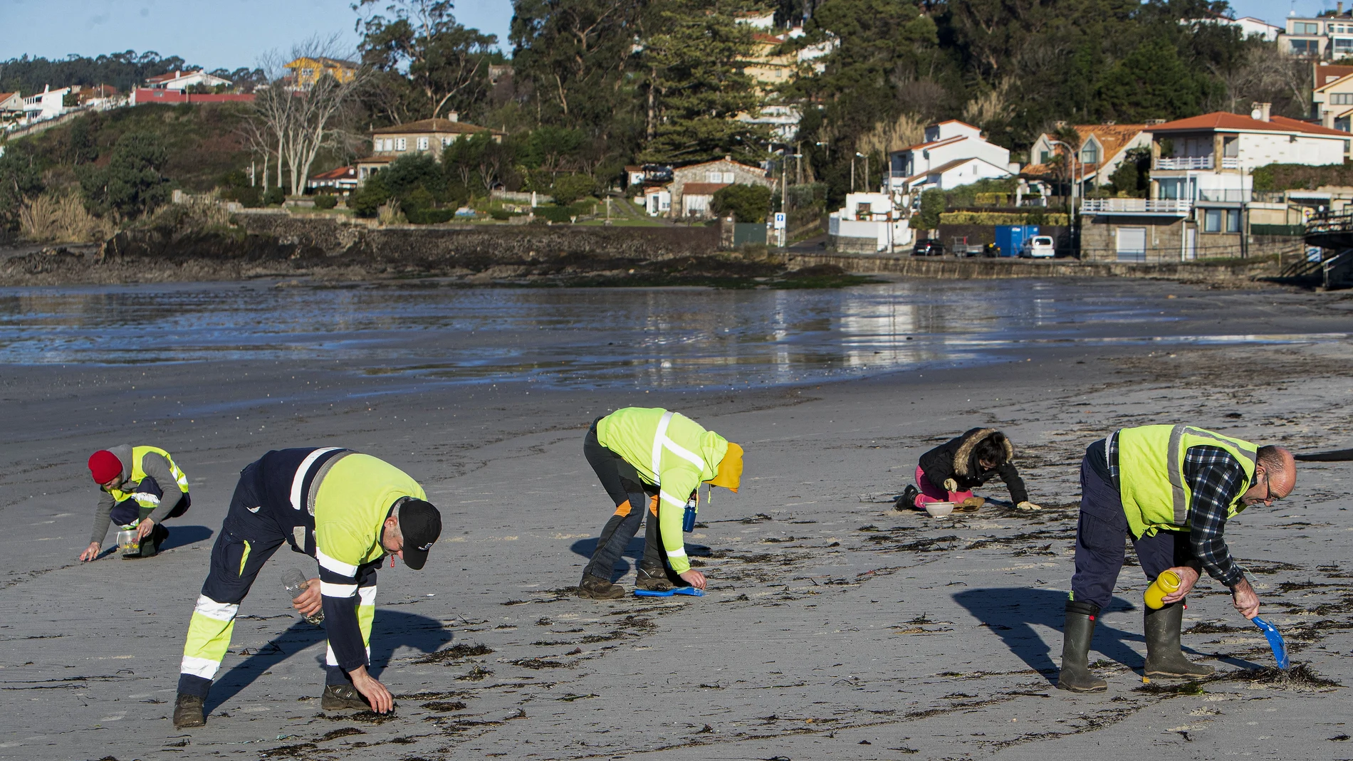 Día soleado para la recogida de 'pellets' de plástico en la Playa de A Madorra en Nigrán, los empleados de Tragsa retiran las diminutas bolitas de plástico caídas de un barco en diciembre en las costas de Portugal.