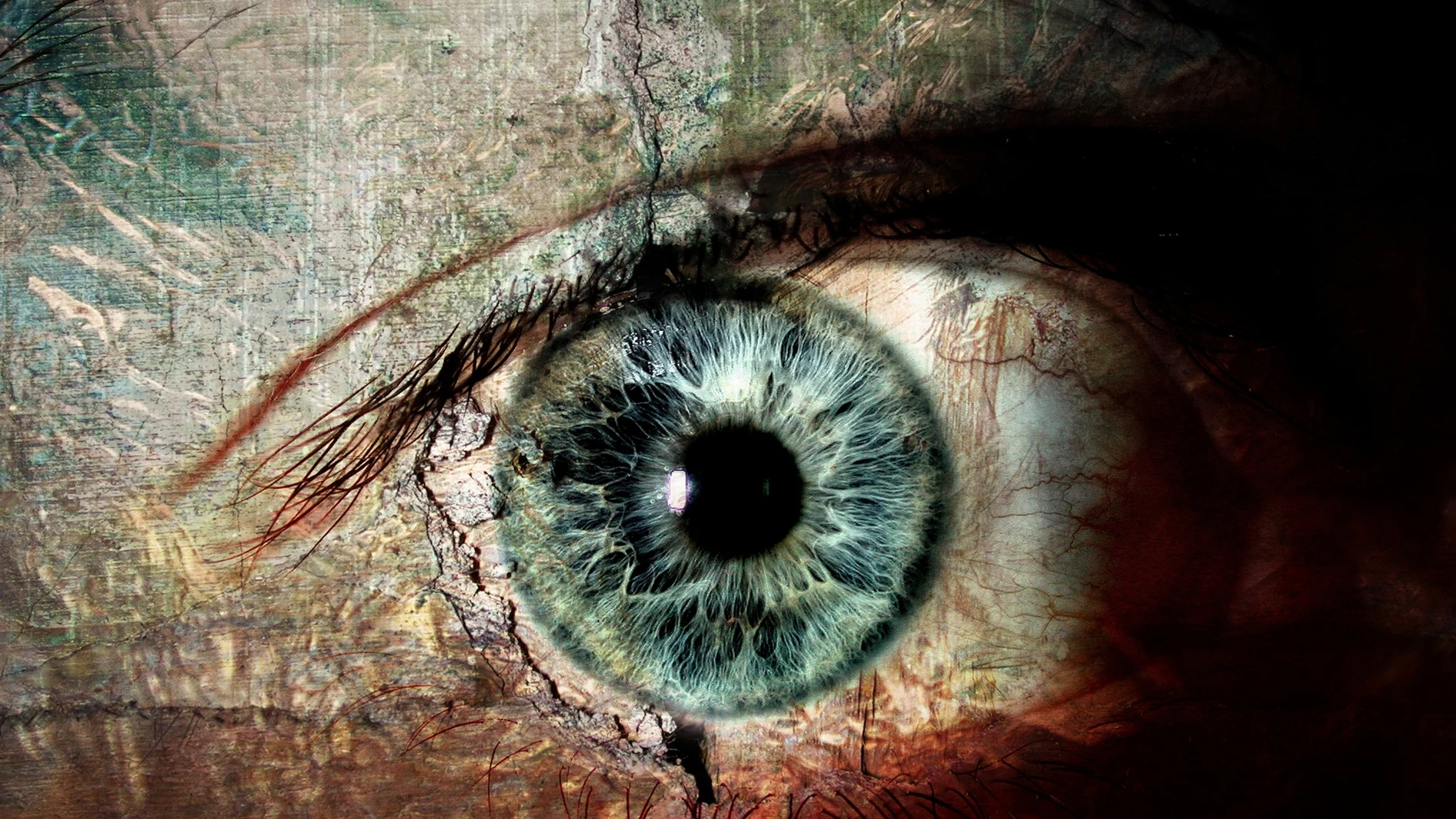 Ojo seco