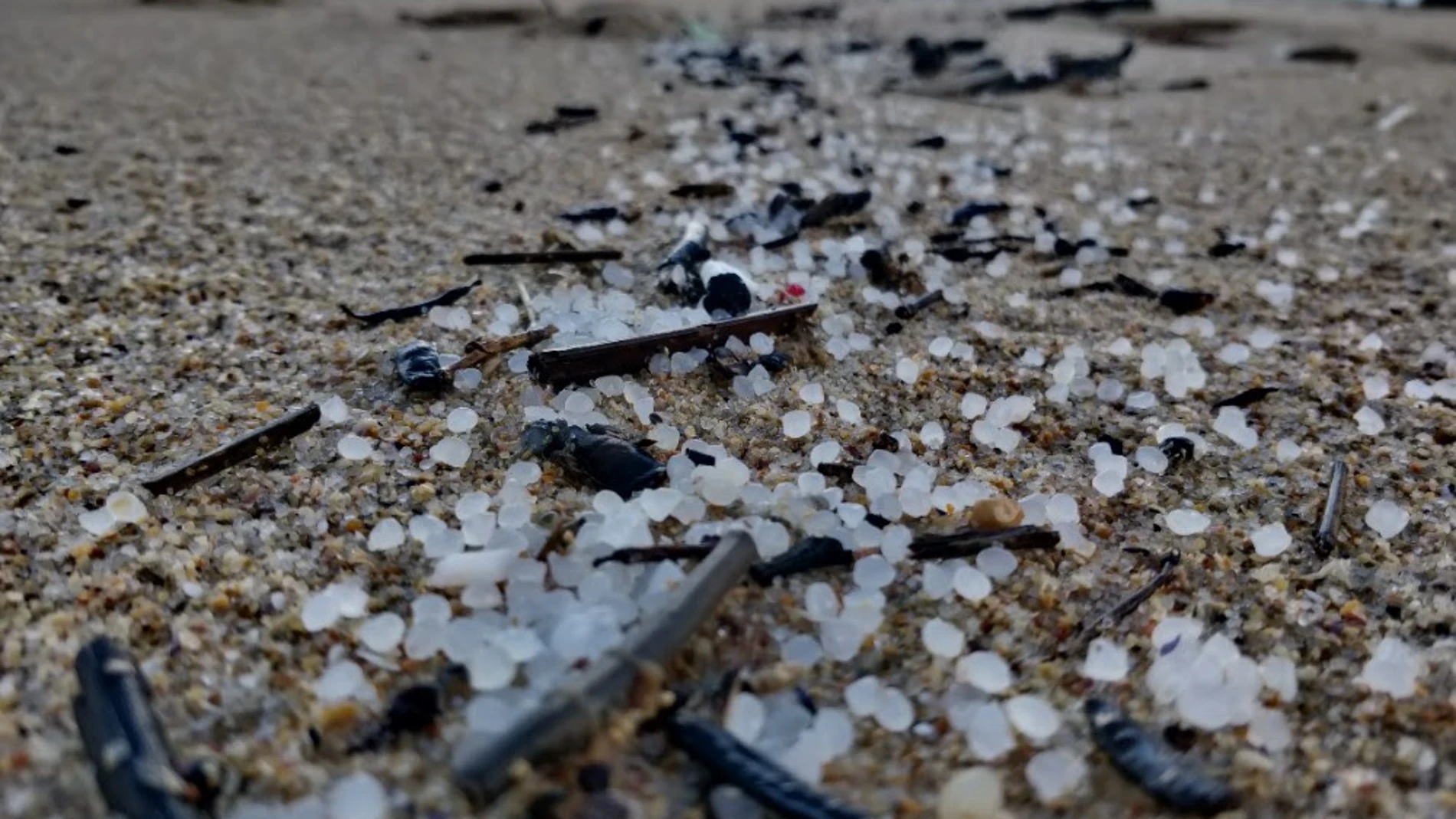 MUROS (A CORUÑA), 05/01/2024.- Miles de bolitas de pellets para la fabricación de plásticos, procedentes de un contenedor que cayó al mar desde un barco, esta mañana en la playa de Area Maior. La Xunta ha activado un plan de contingencias por contaminación marina accidental por la aparición de pellets de plástico en varias playas gallegas y ha reclamado al Gobierno central más información sobre el asunt