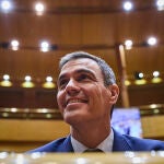 Pedro Sánchez 