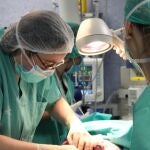C-LM bate su récord histórico de donantes de órganos en 2023 con 90 donantes