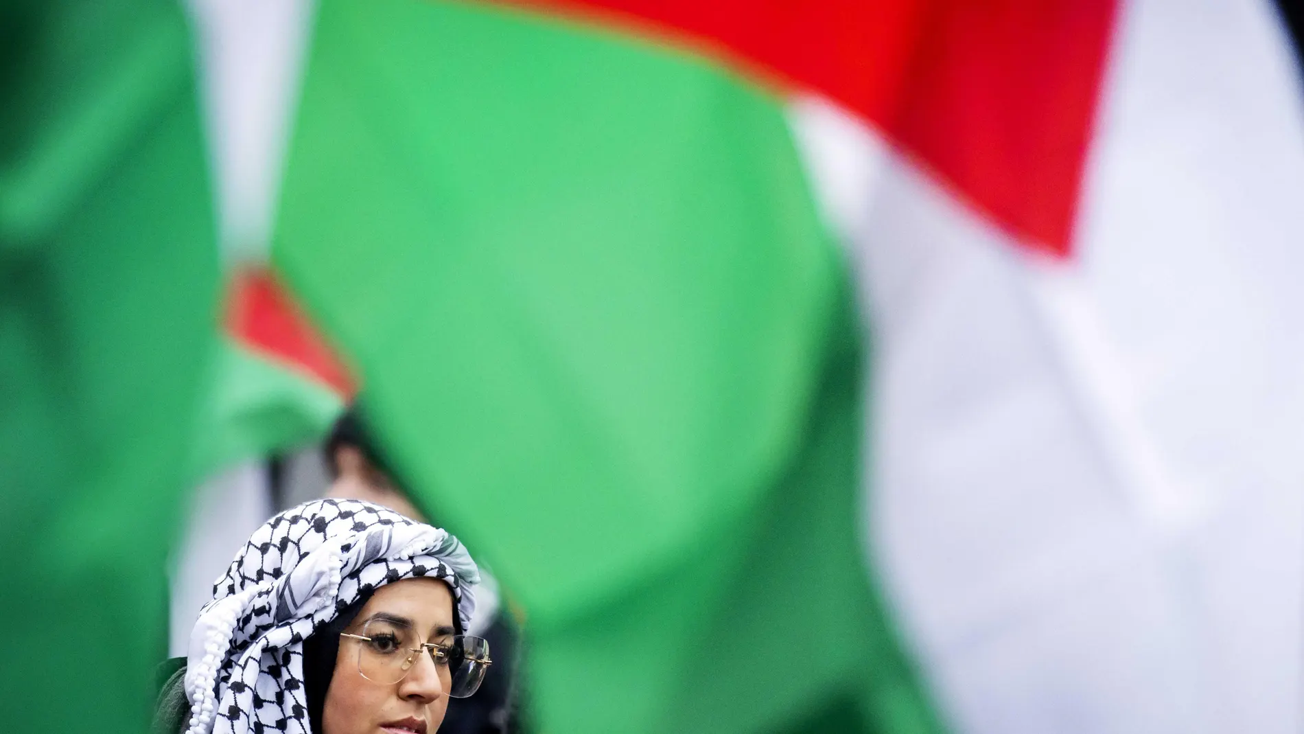 The Hague (Netherlands), 12/01/2024.- A Pro-Palestinian sympathizers protests during the hearing at the International Court of Justice (ICJ) on a genocide complaint from South Africa over Israeli military action in the Gaza Strip, in The Hague, The Netherlands, 12 January 2024. Israel denies accusations that it is genocidal in the Gaza Strip. Thousands of Israelis and Palestinians have been killed since the militant group Hamas launched an unprecedented attack on Israel from the Gaza Strip on...