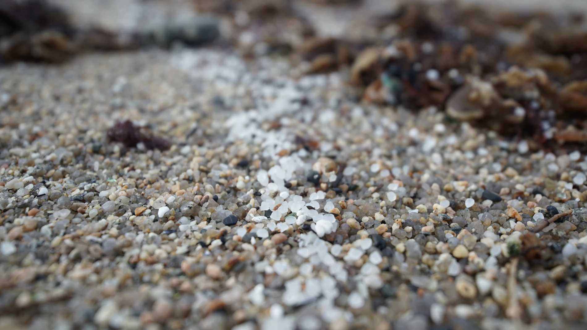 La Xunta afirma que sus efectivos recogieron de las playas el sábado el equivalente a siete sacos de pélets