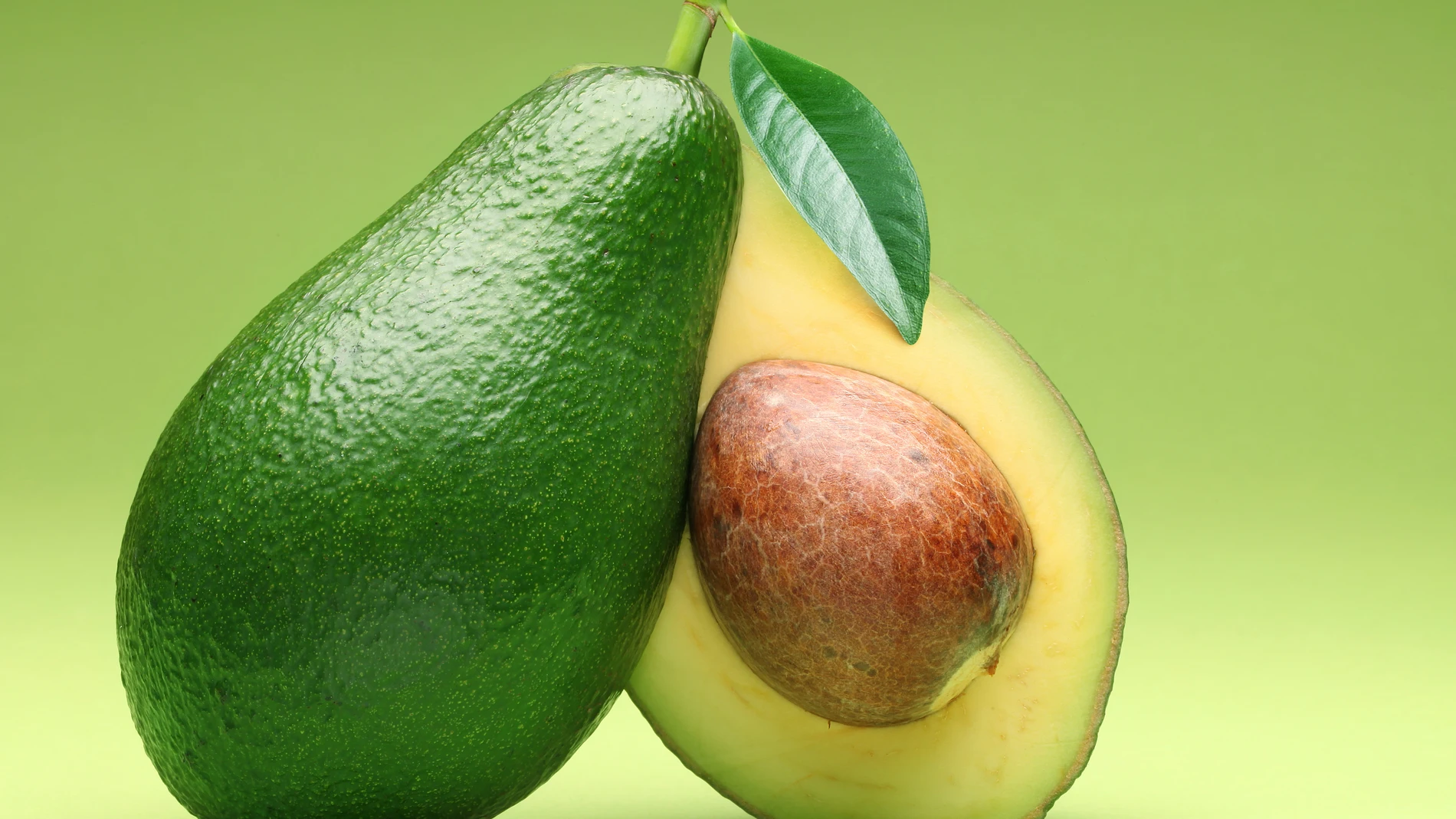 Aguacate
