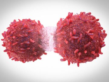 Divisi&oacute;n de c&eacute;lulas cancerosas