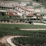 Finca "A Vilerma" adquirida por Bodegas José Pariente