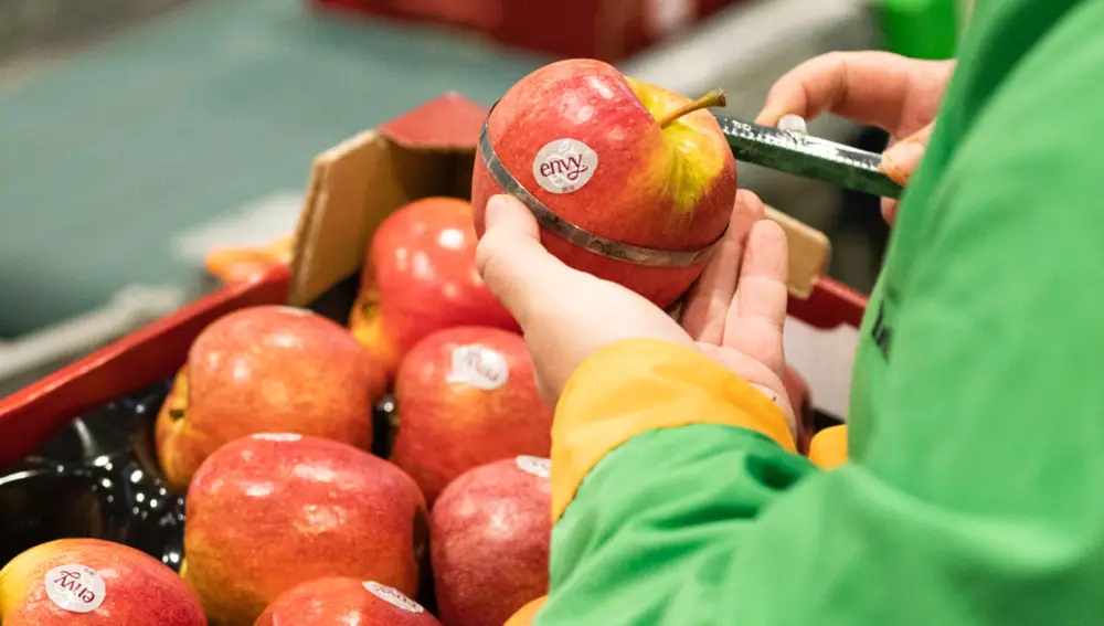 Manzana Envy de Nufri
