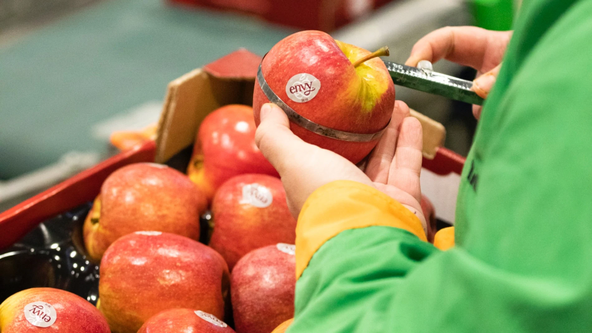 Manzana Envy de Nufri