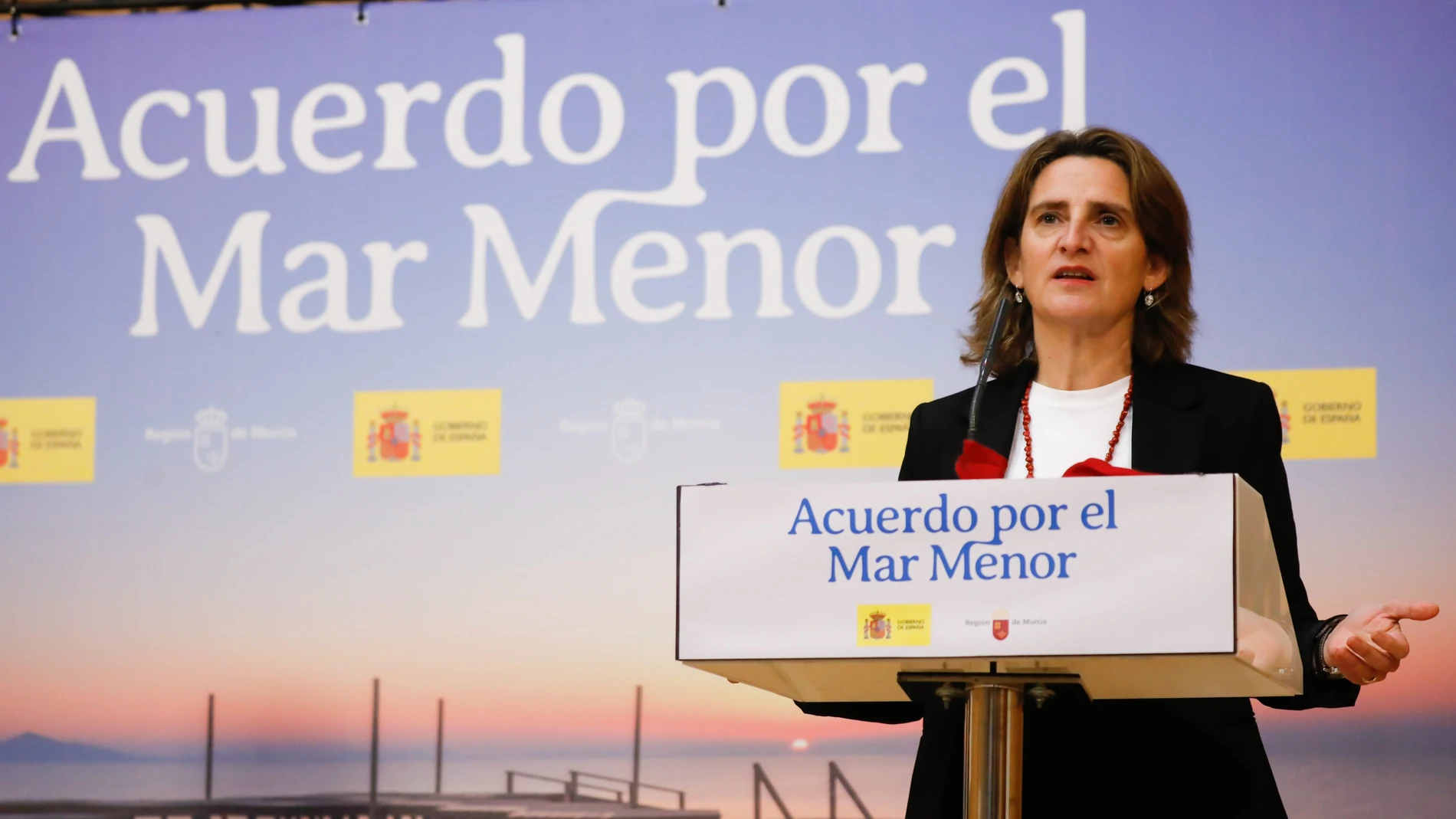 La vicepresidenta tercera del Gobierno y ministra para la Transición Ecológica y el Reto Demográfico, Teresa Ribera, en una rueda de prensa en Murcia EDU BOTELLA/EUROPA PRESS 17/01/2024