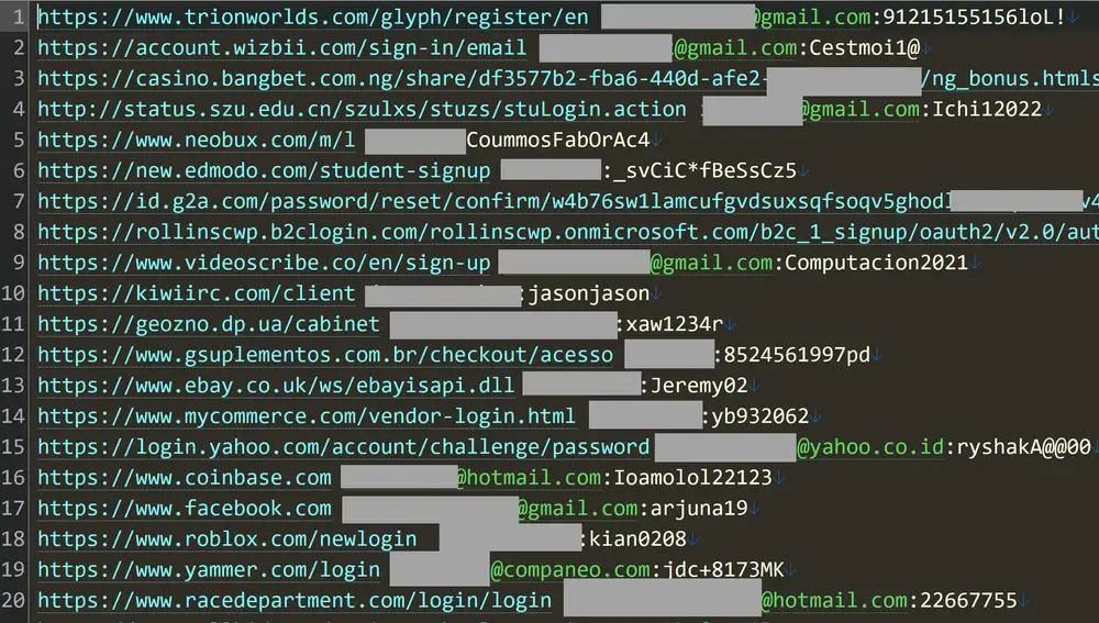 Una muestra de la información contenida en la filtración, robada usando un stealer.