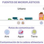 Microplásticos