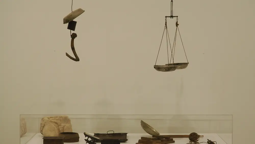 Exposición 'El sueño de la cólcedra', de Teresa Lanceta