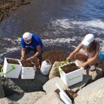 Técnicos del proyecto de investigación repoblando la zona