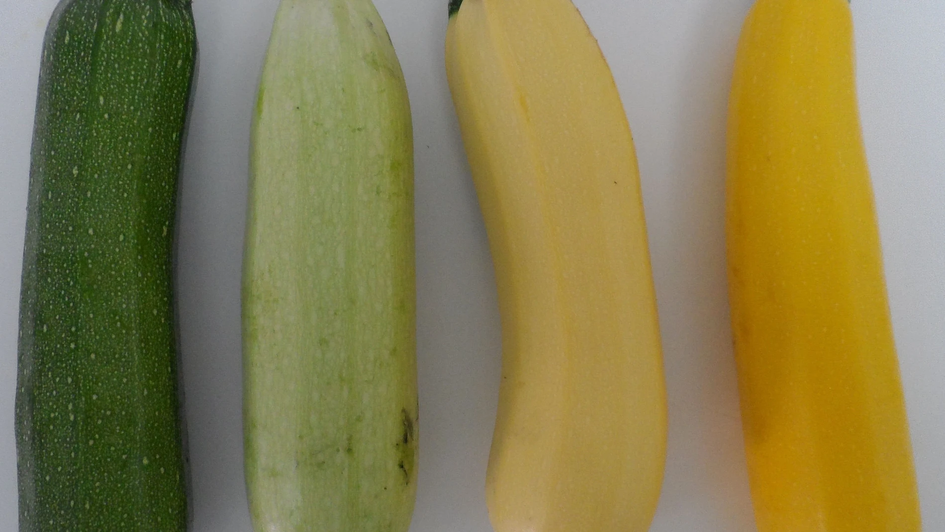 Calabacines de colores