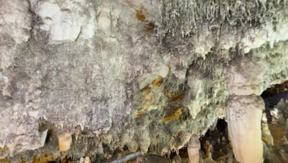 Cueva del Soplao