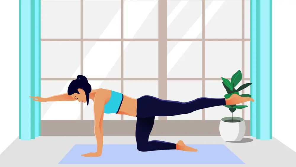 Abdominales