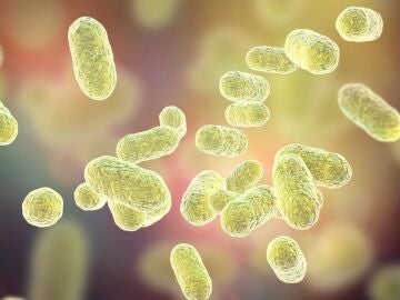 Imagen de recurso de microbios