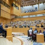 El senador del PSOE, Juan Ramón Amores, interviene durante una sesión plenaria en el Senado, a 25 de enero de 2024, en Madrid (España). La reforma del artículo 49 de la Constitución, referido a las personas con discapacidad, concluye hoy su tramitación en el Senado. Consensuada entre PSOE y PP, esta proposición de ley responde a una demanda del movimiento de la discapacidad articulado en torno al Comité Español de Representantes de Personas con Discapacidad (Cermi).