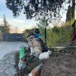 La preocupante situación a la que llegó el niño solo se ha revertido con un cambio de colegio 