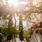La luz y la vegetación cobran un protagonismo especial en este municipio de la Costa del Sol
