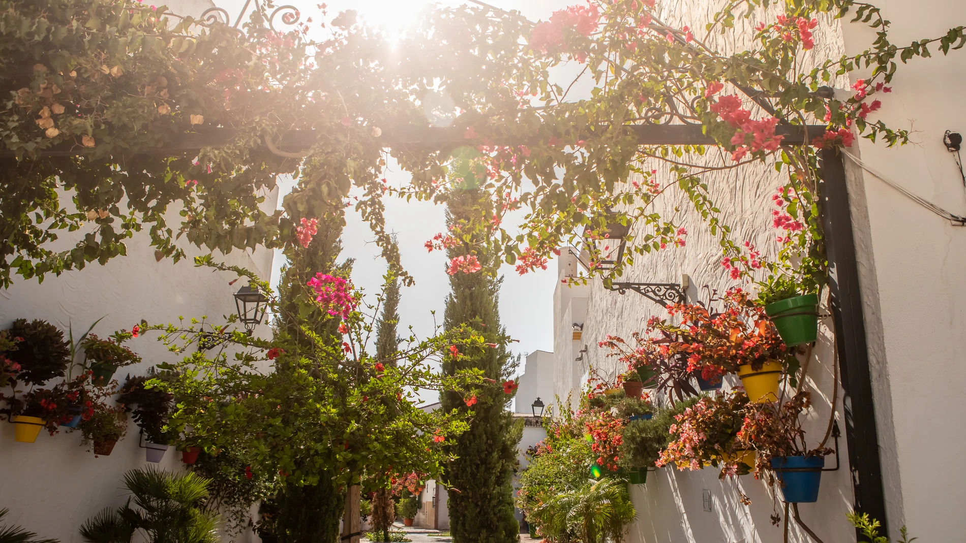 La luz y la vegetación cobran un protagonismo especial en este municipio de la Costa del Sol