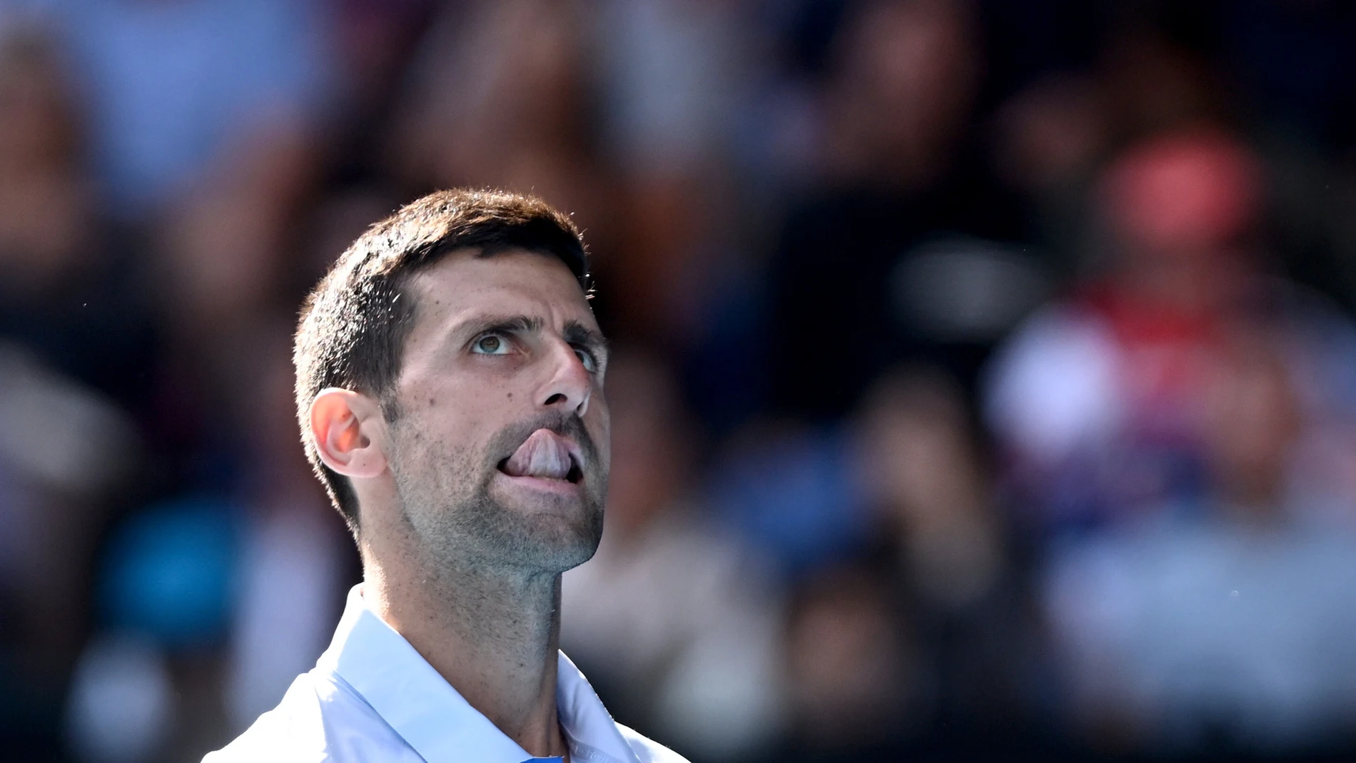 Melbourne (Australia), 26/01/2024.- Novak Djokovic of Serbia reacts during his Men'Äôs semifinal against Jannik Sinner of Italy on Day 13 of the 2024 Australian Open at Melbourne Park in Melbourne, Australia 26 January 2024. (Tenis, Italia) EFE/EPA/JAMES ROSS AUSTRALIA AND NEW ZEALAND OUT