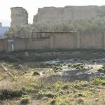 Un equipo trabaja ya en el yacimiento fenicio-púnico de Osuna