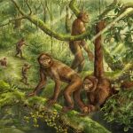 Reconstrucción del comportamiento locomotor y el paleoambiente de Lufengpithecus.