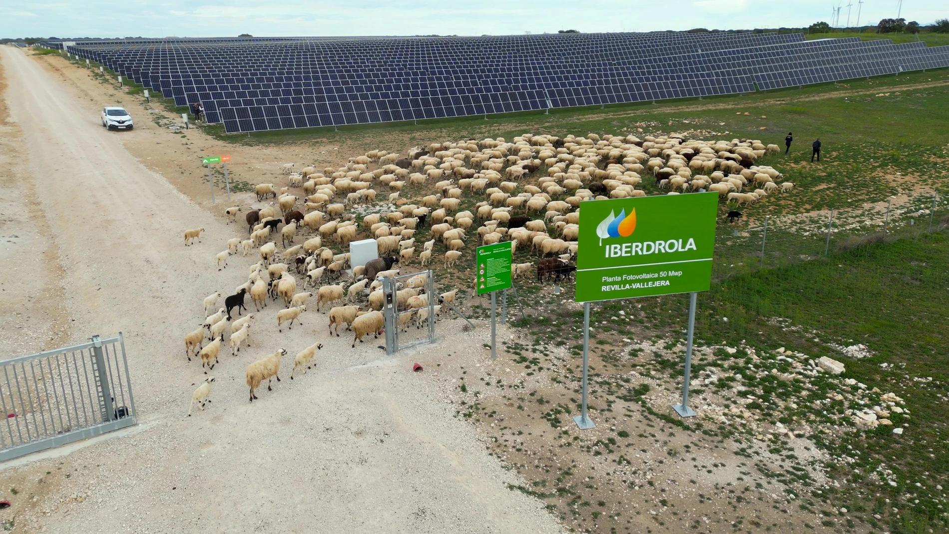 Revilla Vallejera, refugio para la biodiversidad - Iberdrola