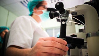 Investigación de cáncer