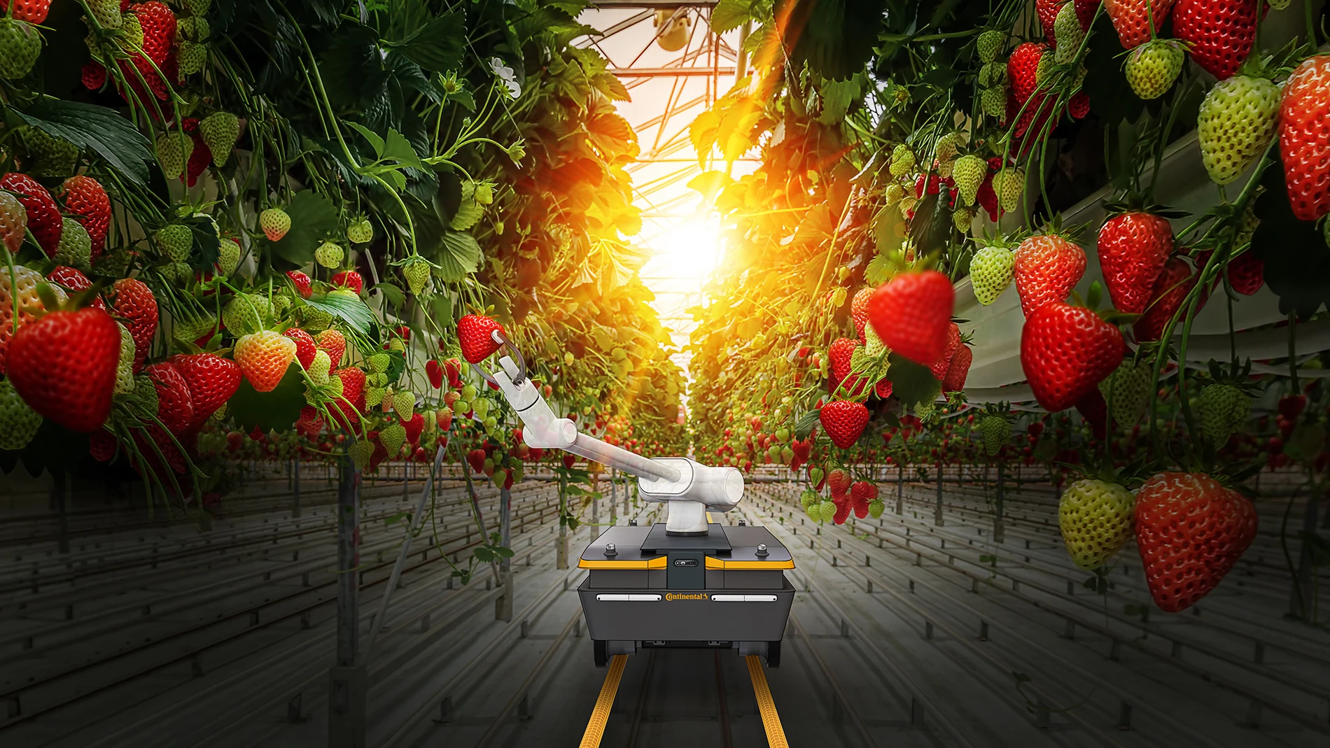 Agricultura inteligente sostenible