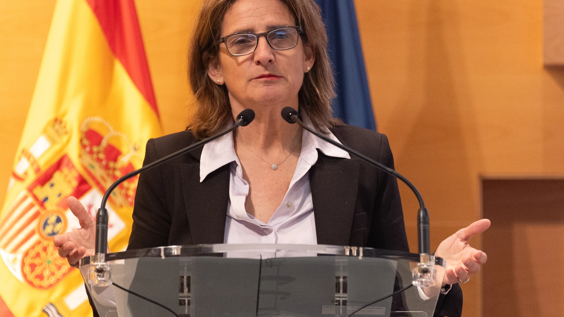 La vicepresidenta tercera y Ministra para la Transición Ecológica y el Reto Demográfico, Teresa Ribera, interviene durante la inauguración de una jornada con motivo del Día Mundial de los Humedales, en la sede del Ministerio, a 2 de febrero de 2024, en Madrid (España). ‘Los humedales y el bienestar humano’ es el tema del Día Mundial de los Humedales 2024, que subraya que todos los aspectos del bienestar humano están ligados a la salud de los humedales del mundo. La campaña de este año pone de...